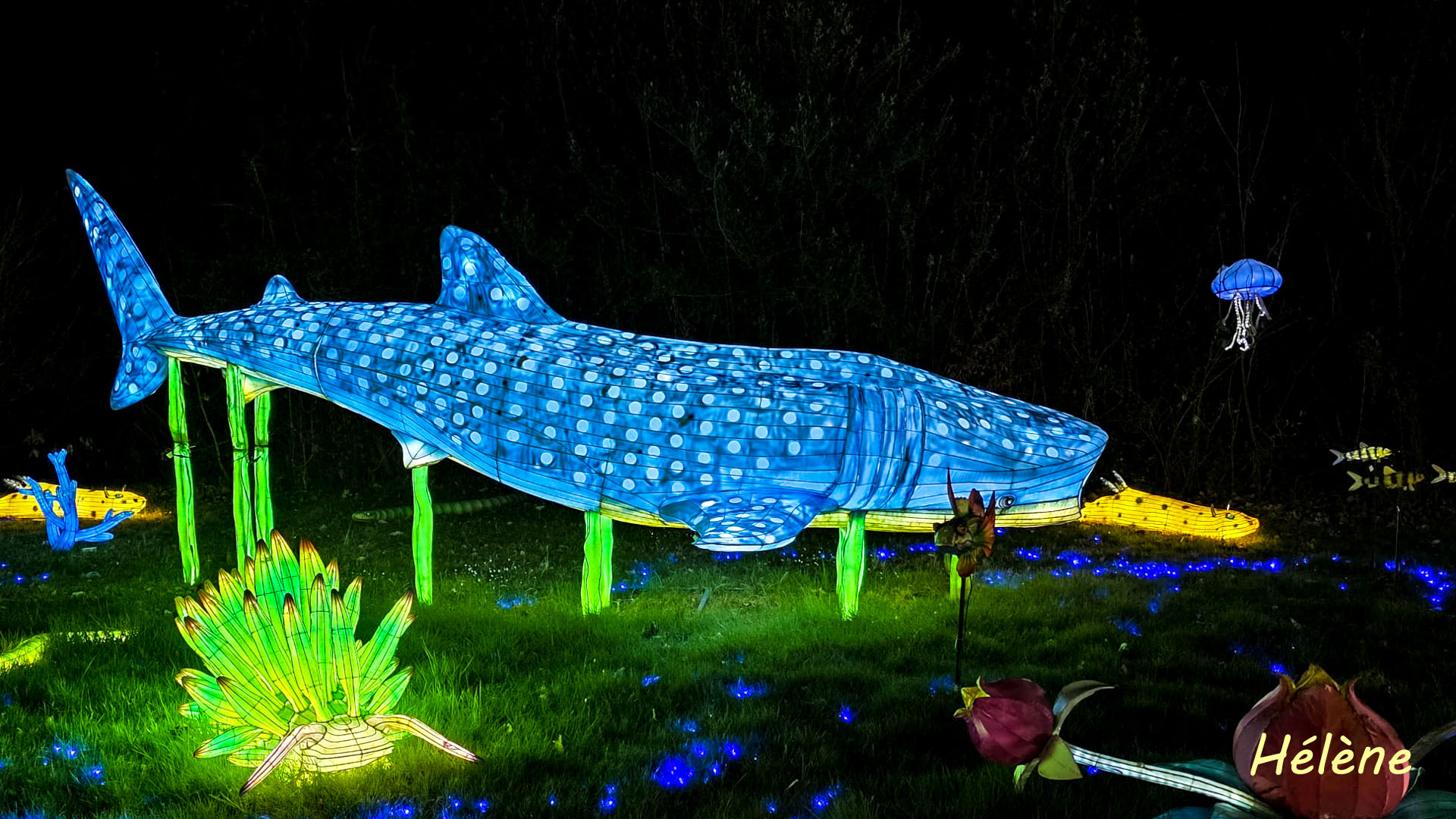 THOIRY -Illumination ,  Lumières sauvages 2025-2026